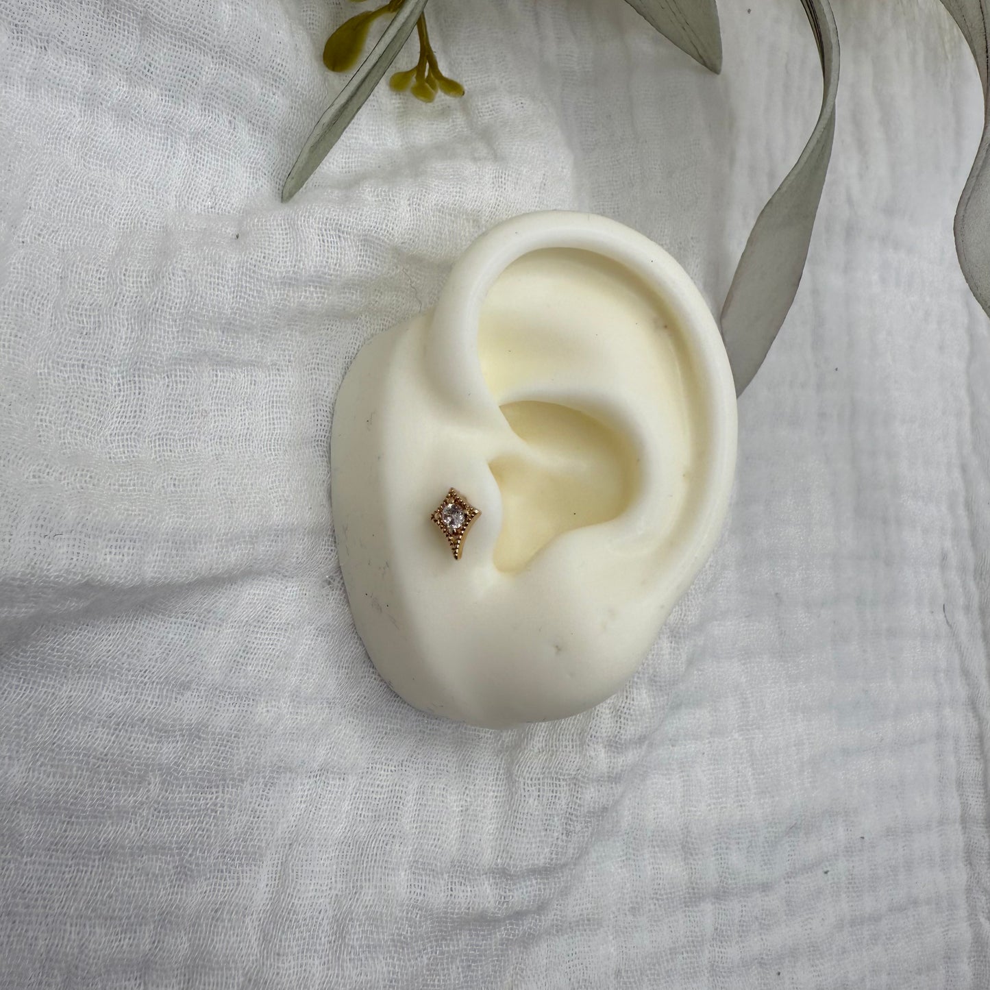 Piercing New Delhi