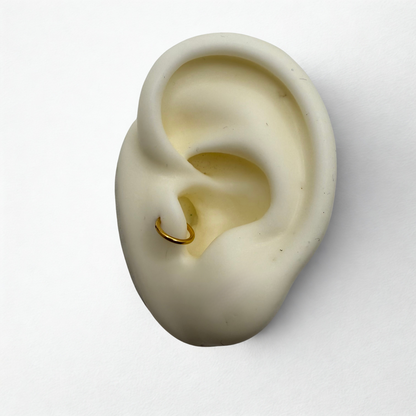 Piercing Anneau GRUISSAN