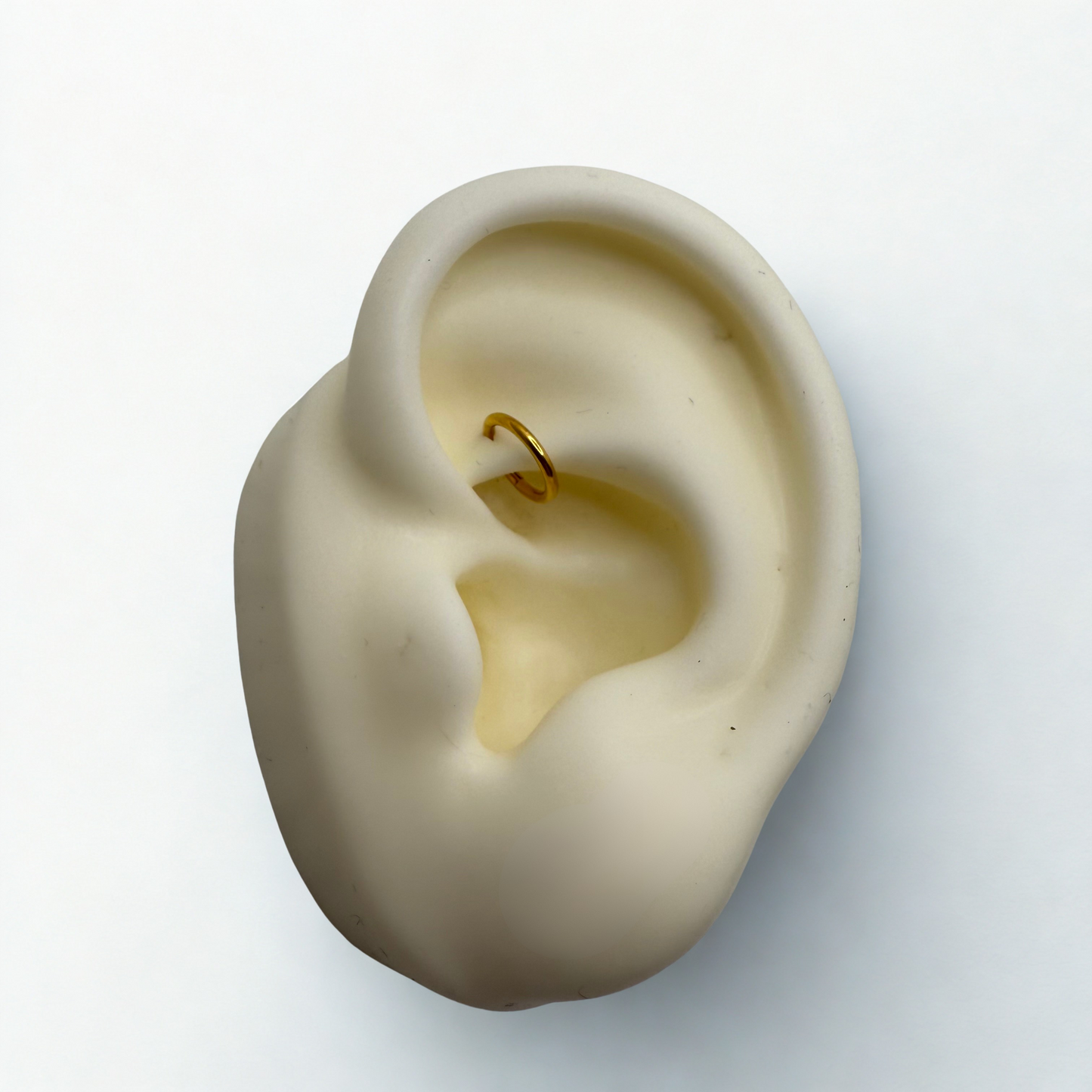 Piercing Anneau GRUISSAN