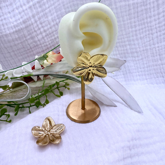 Boucles Bora-Bora